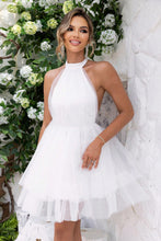 Load image into Gallery viewer, Halter Neck Backless Mesh Dress hc