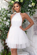 Load image into Gallery viewer, Halter Neck Backless Mesh Dress hc
